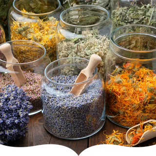 Glass jars filled with dried herbs and flowers, including lavender, calendula, and other botanicals, each with a wooden scoop, arranged on a rustic wooden table.