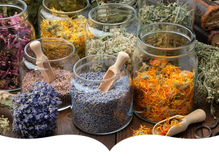 Glass jars filled with dried herbs and flowers, including lavender, calendula, and other botanicals, each with a wooden scoop, arranged on a rustic wooden table.